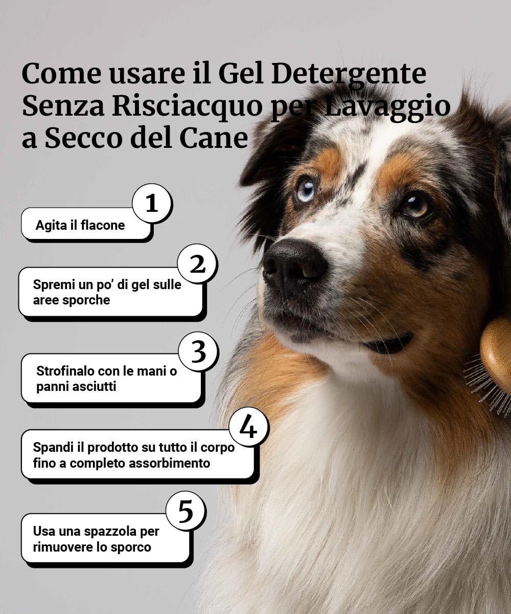 Bau Cosmesi Gel Detergente Senza Risciacquo, Shampoo Secco per Cani, Igienizzante e Idratante - Senza Parabeni e Siliconi, Naturale e Bio con Aloe Vera - Dermatologico, 250 ml
