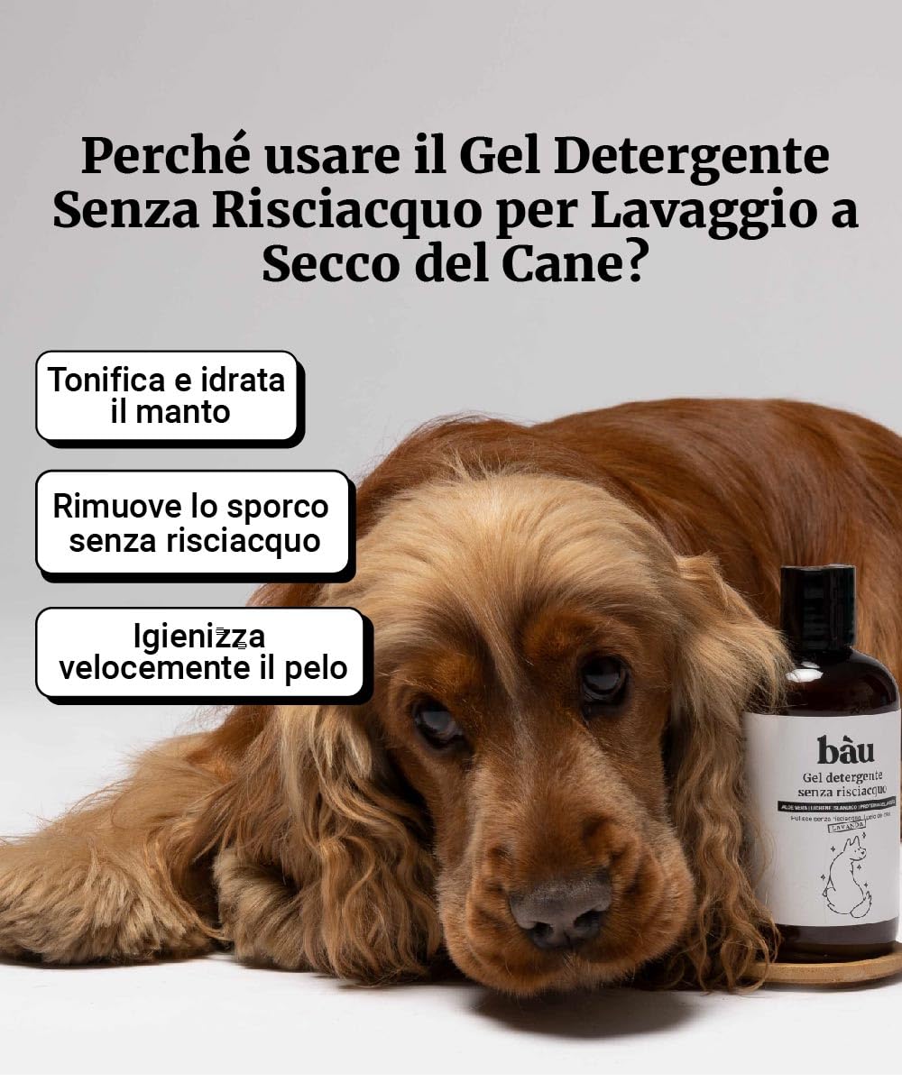 Bau Cosmesi Gel Detergente Senza Risciacquo, Shampoo Secco per Cani, Igienizzante e Idratante - Senza Parabeni e Siliconi, Naturale e Bio con Aloe Vera - Dermatologico, 250 ml