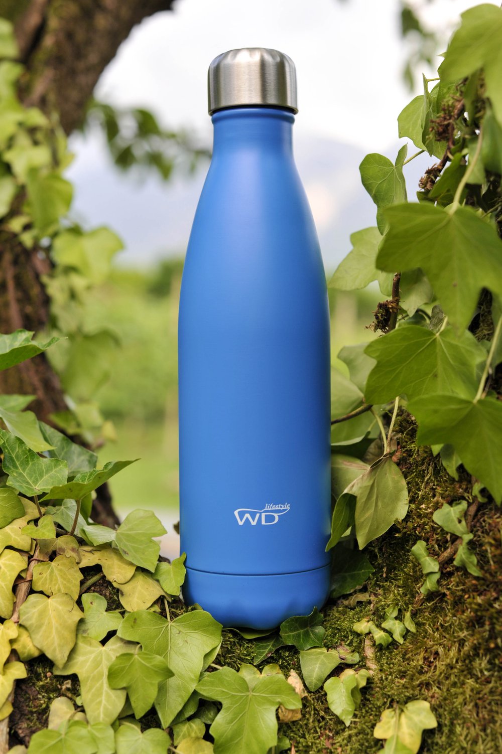 Botellas de agua termales de colores 500 ml WD Lifestyle