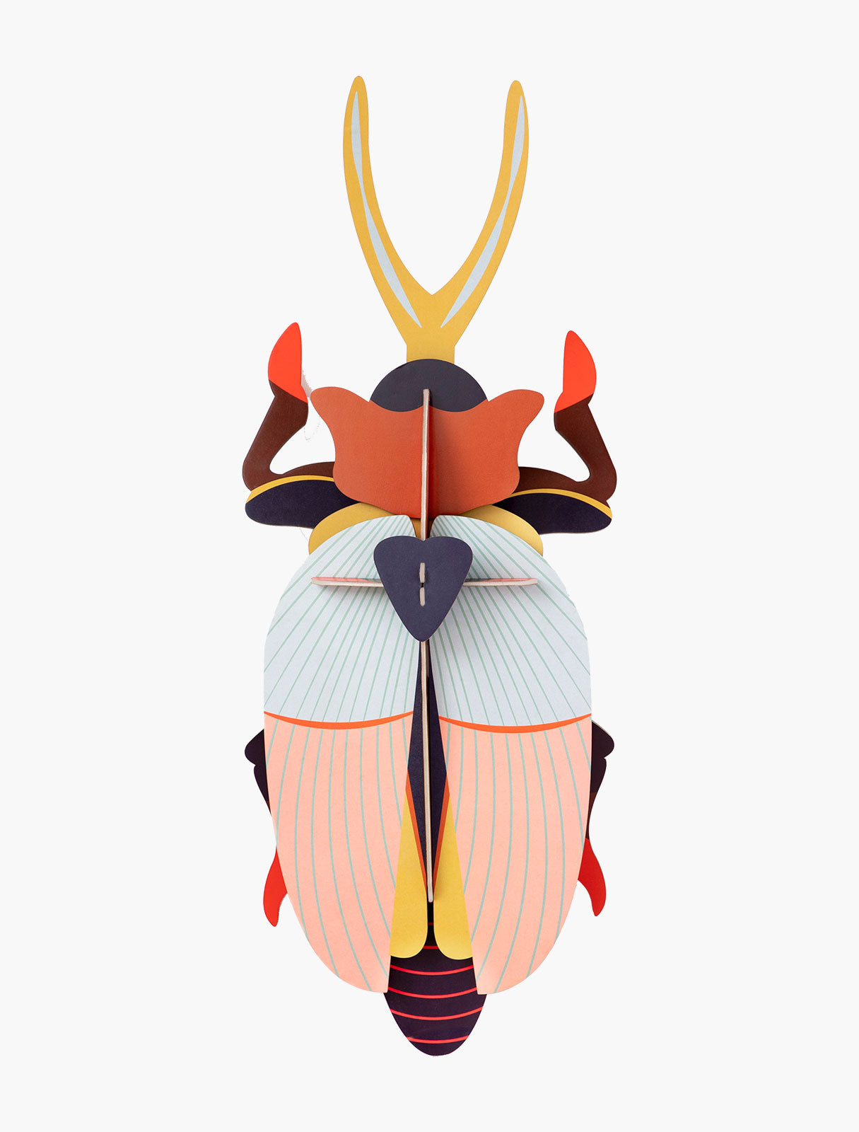 Rhinoceros Beetle Studio Techo ecosostenible