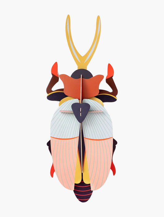 Rhinoceros Beetle Studio Roof ecosostenibile