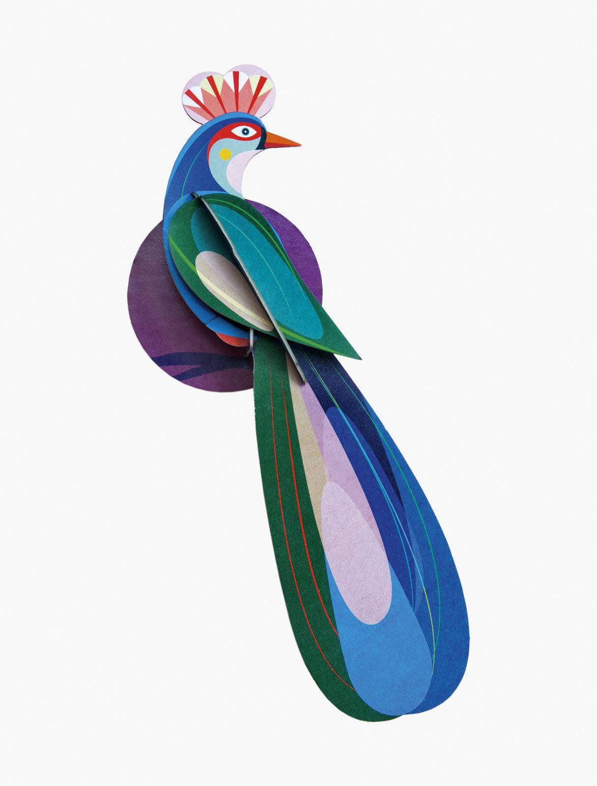 Paradise Bird Banda Studio Techo ecosostenible