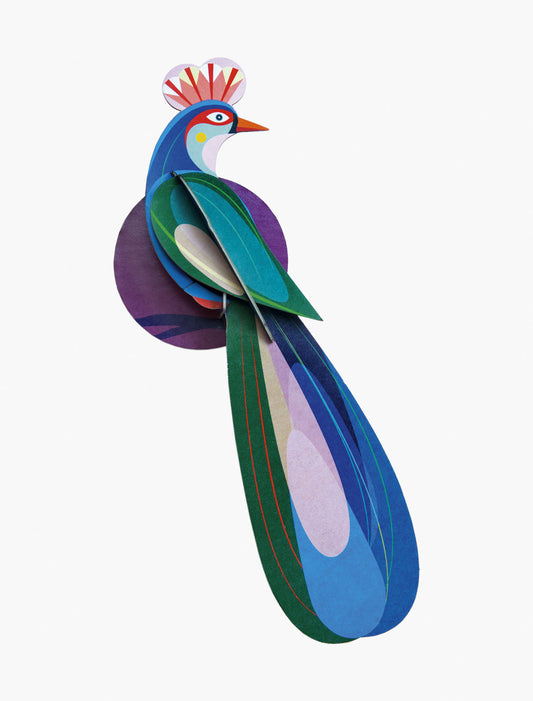 Paradise Bird Banda Studio Techo ecosostenible