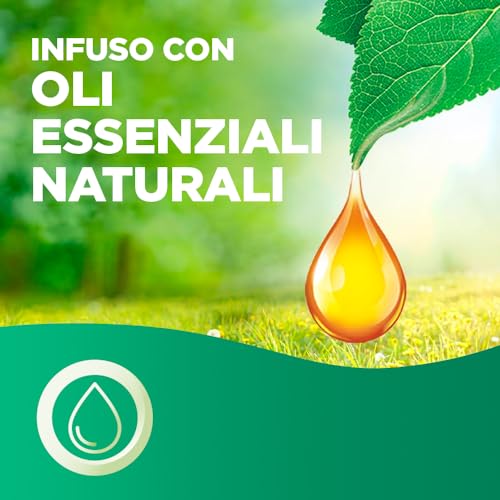 Airwick Armonia Istantanea Profumatore per Ambienti, Confezione con 1 Diffusore di Oli Essenziali e 1 Ricarica per Diffusore di Oli Essenziali alla Fragranza di Mandarino e Arancia Dolce Energizzanti