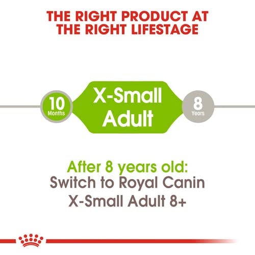 Royal Canin X-Small Adult | Confezione doppia | 2 x 500 g | Alimento secco per cani adulti di taglia molto piccola (fino a 4 kg) | Per il supporto dell'intestino, del pelo e delle vie urinarie