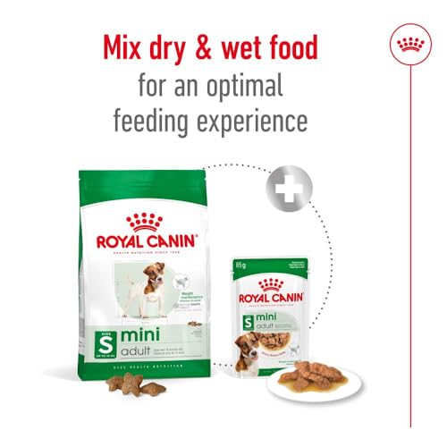 Royal Canin Mini Adult | 2 kg | Alimento completo per cani di piccola taglia | Acidi grassi omega-3 per pelle e pelo | Tenore energetico bilanciato e dimensione crocchette adattata