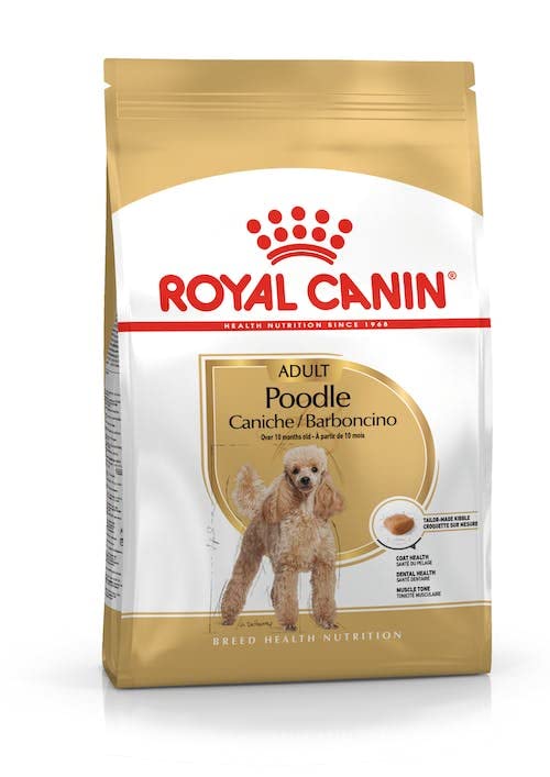 Royal Canin Poodle Adult | Confezione Doppia | 2 x 500 g | Alimento secco per Barboncini adulti | Per sostenere il pelo e il tono muscolare | Per cani a partire da 10 mesi di età