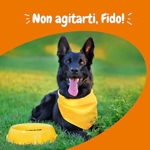 Zesty Paws calmante per cani | Integratore per cani | Ashwagandha, Tè Verde e L-Triptofano | Alimento Complementare per cani Adulti di tutte le taglie | Gusto Tacchino | 90 Pezzi