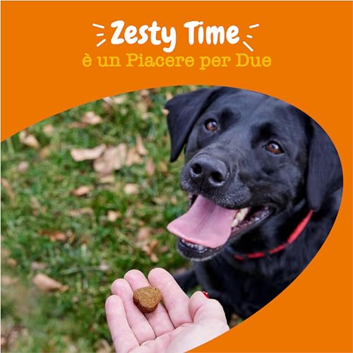 Zesty Paws calmante per cani | Integratore per cani | Ashwagandha, Tè Verde e L-Triptofano | Alimento Complementare per cani Adulti di tutte le taglie | Gusto Tacchino | 90 Pezzi