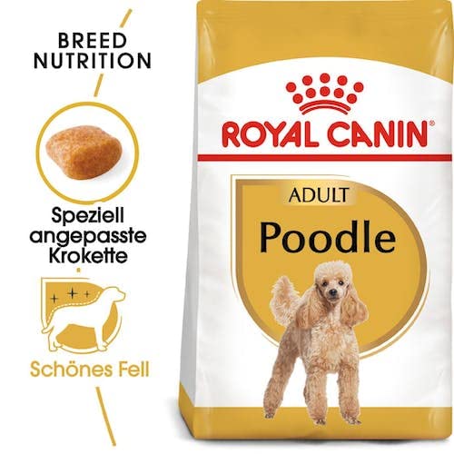 Royal Canin Poodle Adult | Confezione Doppia | 2 x 500 g | Alimento secco per Barboncini adulti | Per sostenere il pelo e il tono muscolare | Per cani a partire da 10 mesi di età