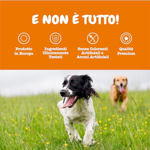 Zesty Paws calmante per cani | Integratore per cani | Ashwagandha, Tè Verde e L-Triptofano | Alimento Complementare per cani Adulti di tutte le taglie | Gusto Tacchino | 90 Pezzi