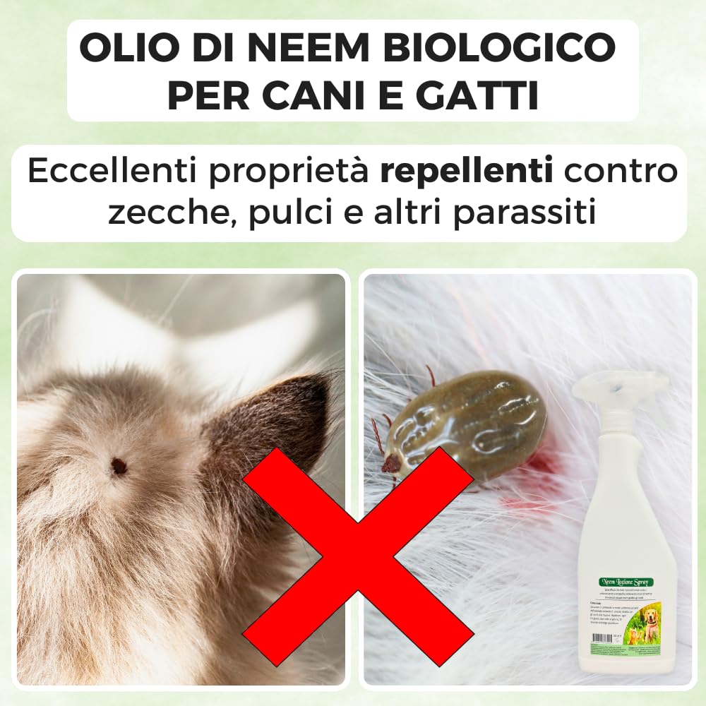 ARGAN ITALIA - Olio di Neem Biologico per Cani e Gatti (2x500ml) Composto da Ingredienti Sgraditi a Pulci, Zecche, Parassiti, 100% Naturale Sicuro per Cani Gatti di Qualsiasi Età Taglia, Made in Italy