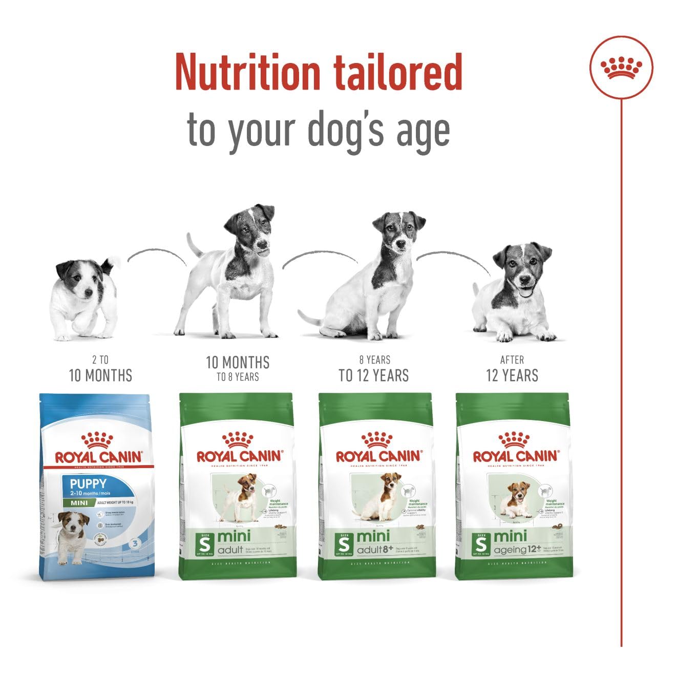 Royal Canin Mini Adult | 2 kg | Alimento completo per cani di piccola taglia | Acidi grassi omega-3 per pelle e pelo | Tenore energetico bilanciato e dimensione crocchette adattata