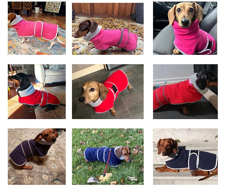 Geyecete -Invernale Cappotto per cane bassotti, con fodera in pile caldo, abbigliamento da esterni in pile polare per cani, con Foro per Imbracatura,Giacca per cani piccola y media-Blu navy-M