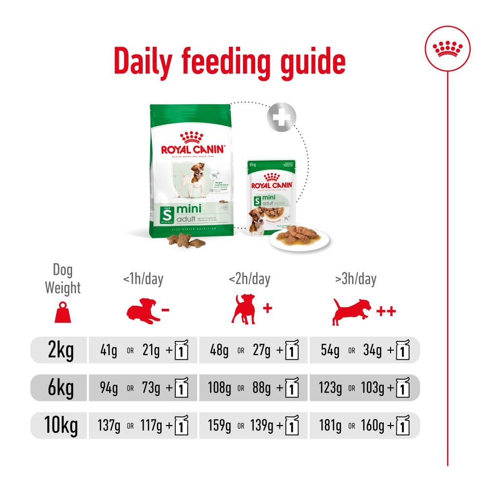 Royal Canin Mini Adult | 2 kg | Alimento completo per cani di piccola taglia | Acidi grassi omega-3 per pelle e pelo | Tenore energetico bilanciato e dimensione crocchette adattata