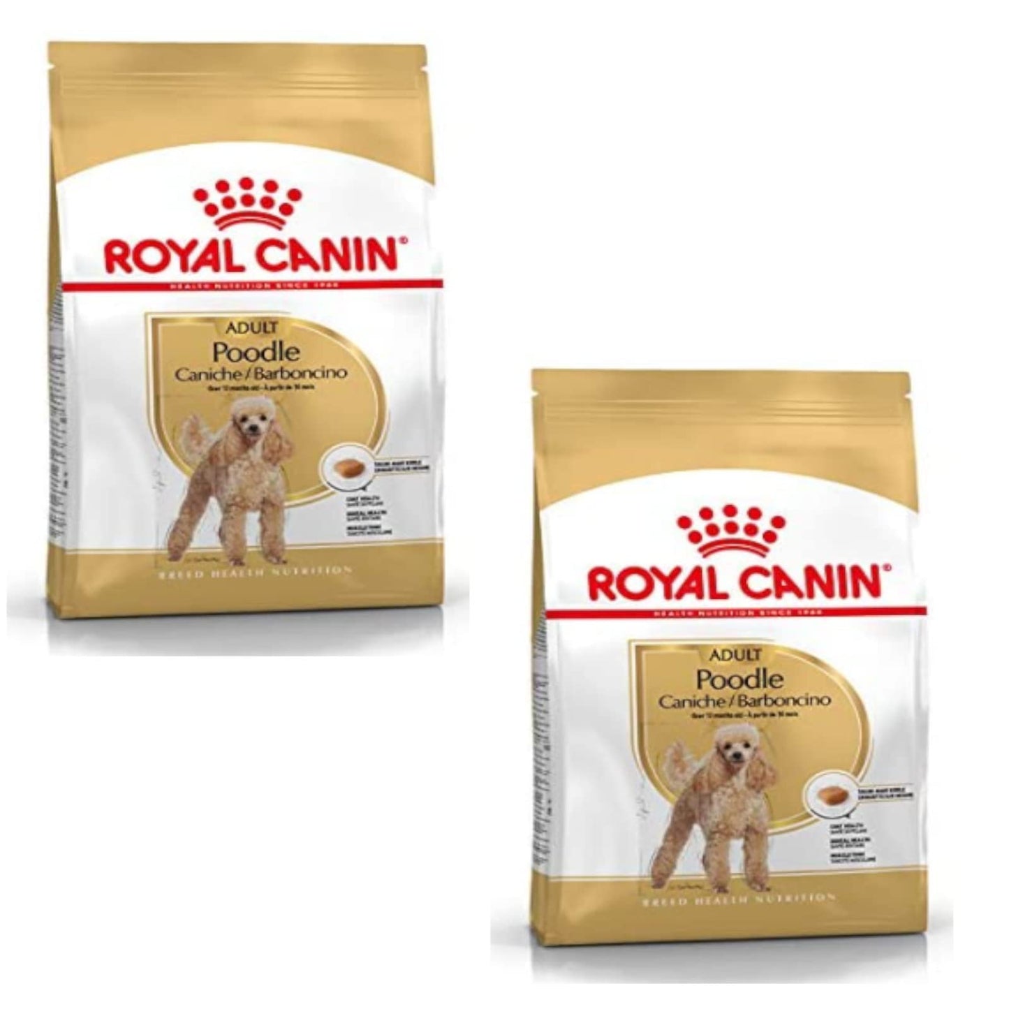 Royal Canin Poodle Adult | Confezione Doppia | 2 x 500 g | Alimento secco per Barboncini adulti | Per sostenere il pelo e il tono muscolare | Per cani a partire da 10 mesi di età