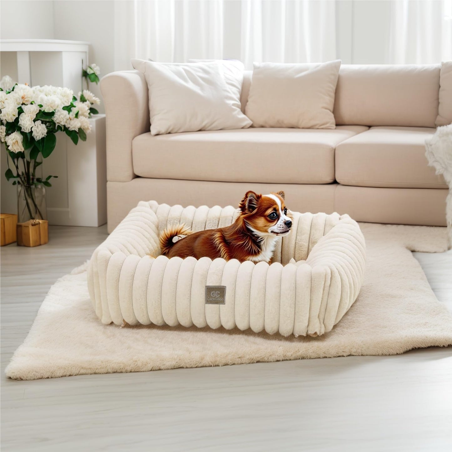 CareCooo Letto per Cani Sfoderabile - Confortevole Cuccia Cane Interno, Divano per Cani, Materasso per Cani, Ideale come Dog Bed e Cuccia Pelosa per Cani (color crema, S-50 x 48 x 15 cm)