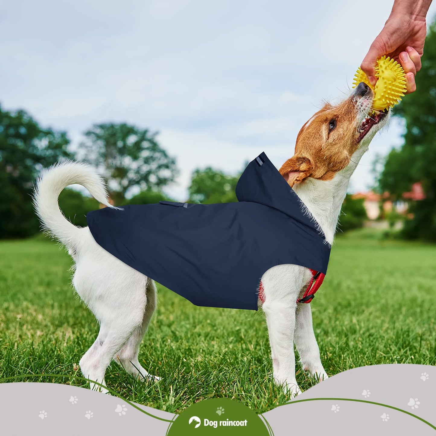 Zellar Impermeabile per Cani con Cappuccio e Foro per Colletto e Strisce Riflettenti protettive, Impermeabile Ultraleggero e Impermeabile 100% Impermeabile Cani di Taglia Media Large blu