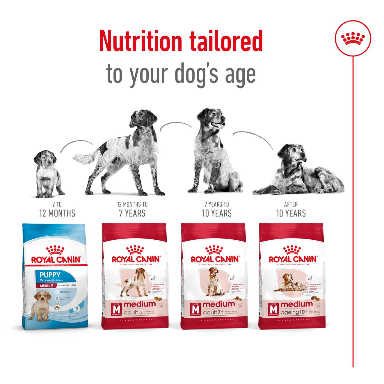 Royal Canin C-08402 S.N. Adulto Medio - 4 kg