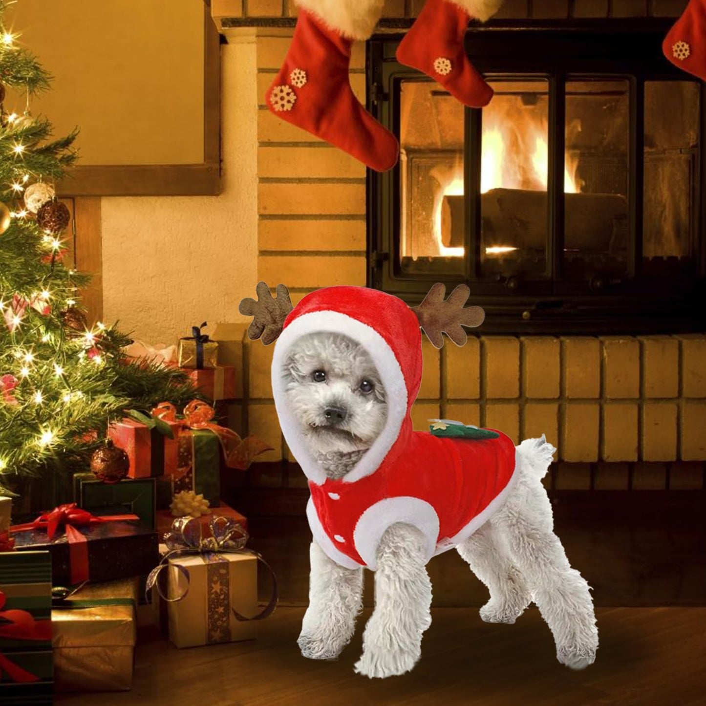 Natale Animale Domestico Costume, Vestiti Natale Gatto Cane, Inverno Cappotto Felpe con Cappuccio per Cani Piccolo e Medio e Gatti, per feste natalizie per animali domestici decorare (S)