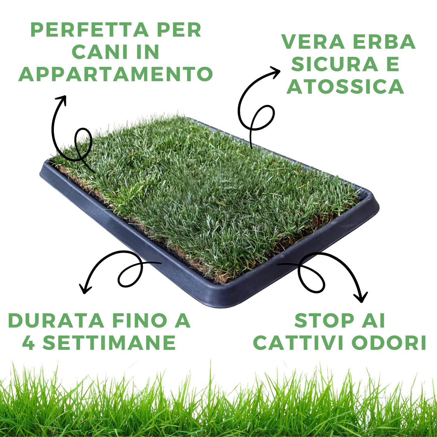 Kit S cane PetZolla - Lettiera per cani in Vera Erba con Vassoio Riutilizzabile 60x40 cm, Traversine cani 100% naturali e atossiche, lettiera cani in vero prato dura fino a 4 Settimane