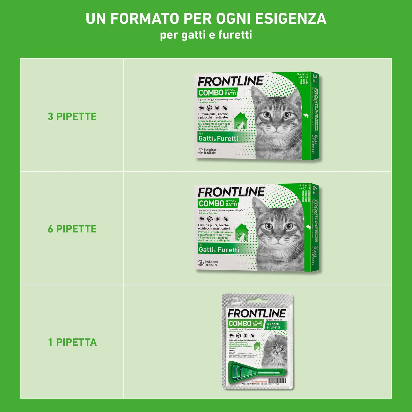 FRONTLINE Combo, 6 Pipette, Antiparassitario per Gatti, Gattini e Furetti di Lunga Durata, Protegge da Pulci, Zecche, Uova, Larve e Anche la Casa, Antipulci In Confezione da 6 Pipette da 0.5 ml