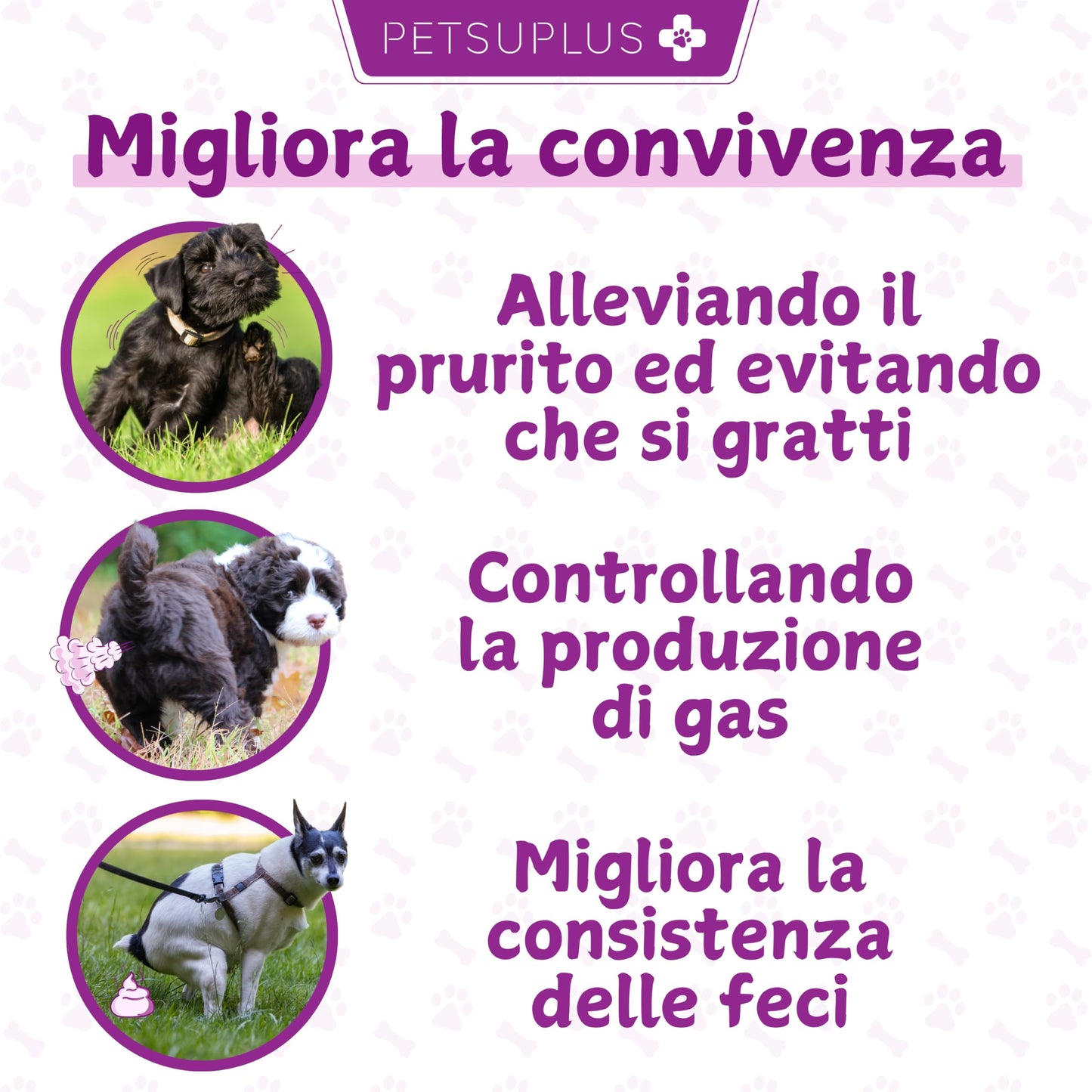 PETSUPLUS Probiotici per Cani - Fermenti Lattici Cane - 120 masticabili - Ripristina la Flora Intestinale, Protegge il Sistema Immunitario e previene Malattie - Combatte Diarrea, Gas, Vomito