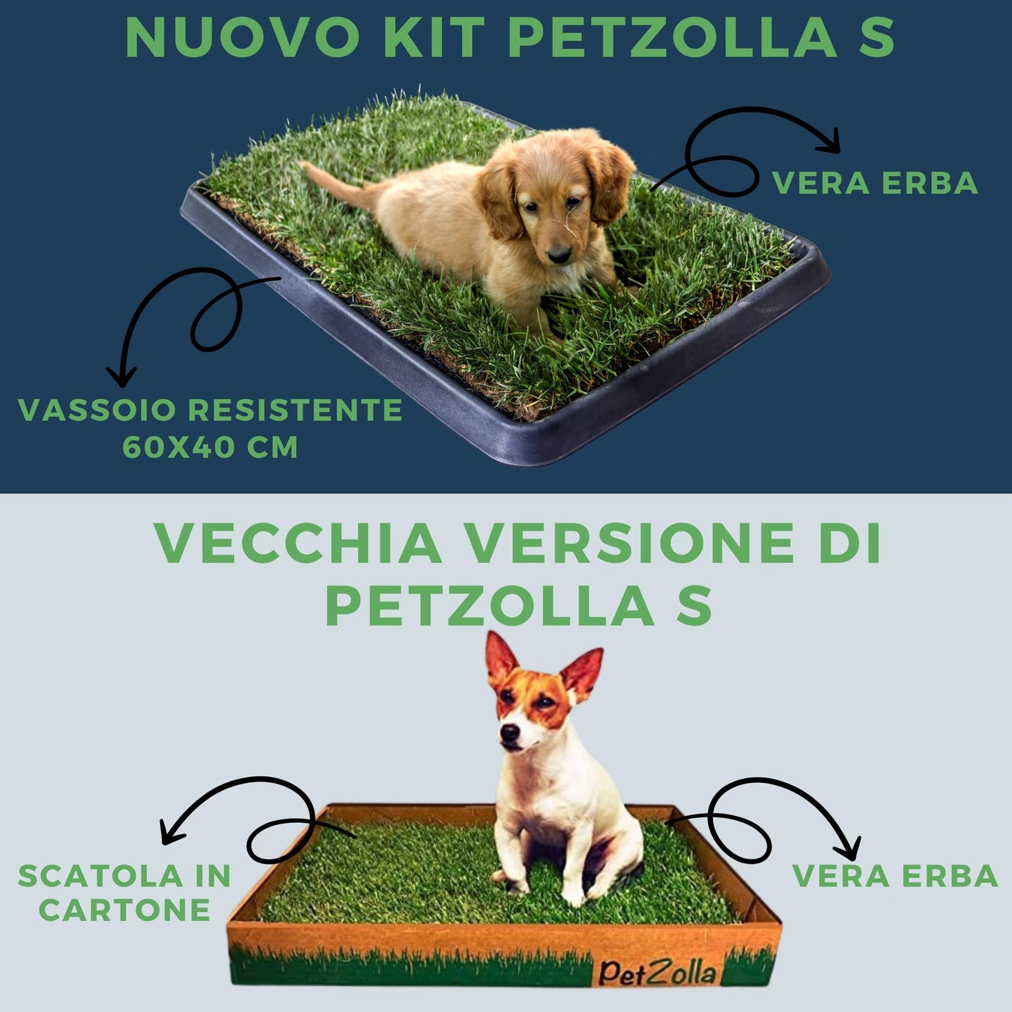 Kit S cane PetZolla - Lettiera per cani in Vera Erba con Vassoio Riutilizzabile 60x40 cm, Traversine cani 100% naturali e atossiche, lettiera cani in vero prato dura fino a 4 Settimane