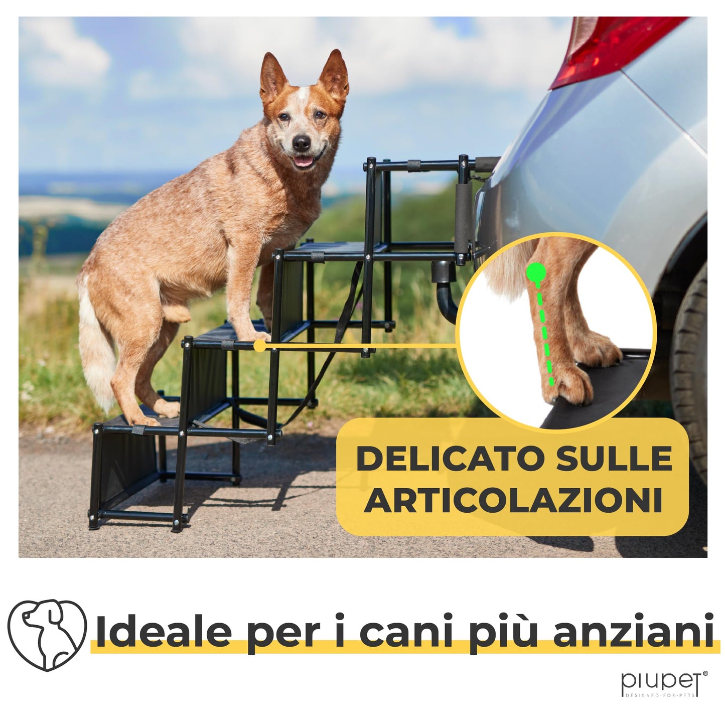 PiuPet® Rampa per Cani I Fino a 80 kg I Utilizzabile per Tutti i Veicoli I Grandi e Piccoli Cani I Scaletta per Cani Pieghevole I Scaletta Cani | Rampe per Auto | Gradini per Cani | Rampe di Carico