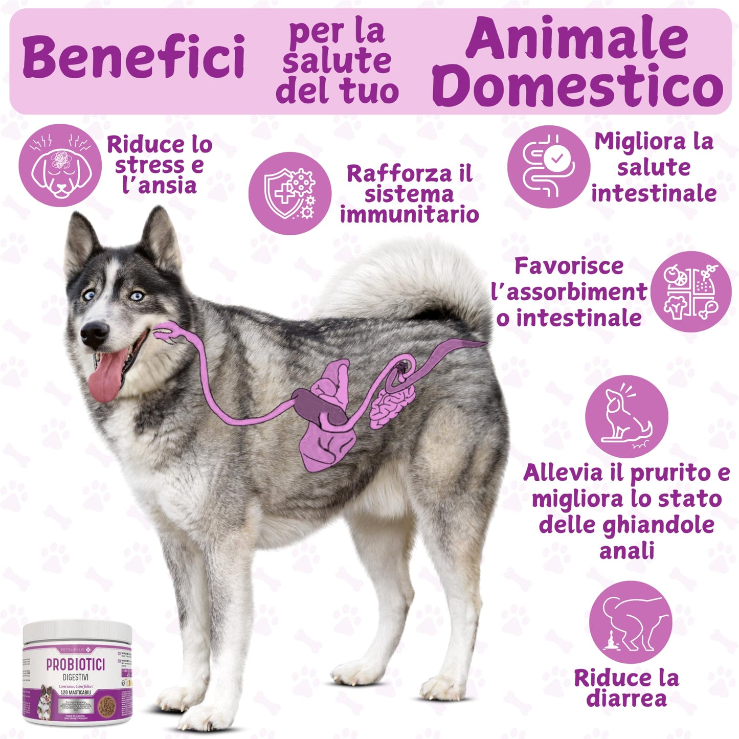 PETSUPLUS Probiotici per Cani - Fermenti Lattici Cane - 120 masticabili - Ripristina la Flora Intestinale, Protegge il Sistema Immunitario e previene Malattie - Combatte Diarrea, Gas, Vomito