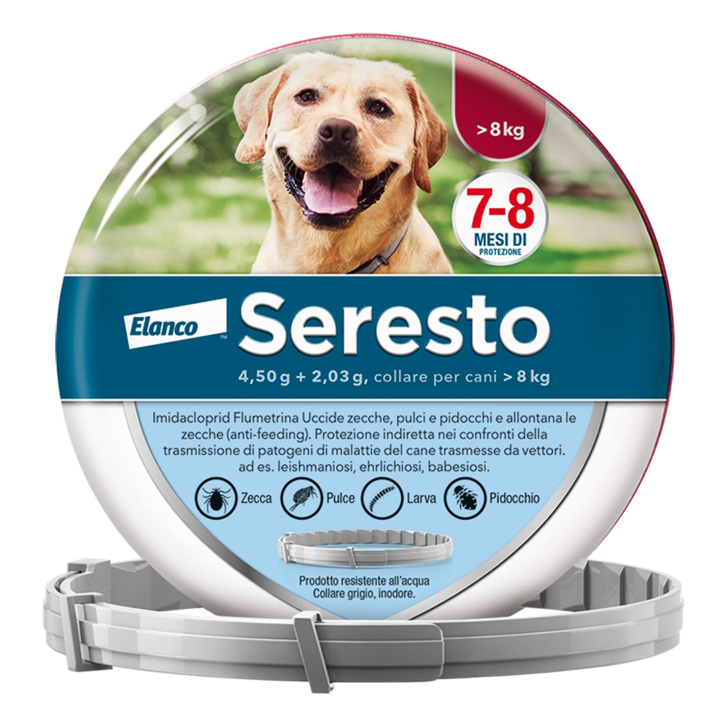 Elanco Seresto Collare antiparassitario, Per cani oltre 8 kg, Elimina pulci, zecche, pidocchi e protegge dal rischio di trasmissione, Della leishmaniosi fino a 8 mesi, 1 pezzo