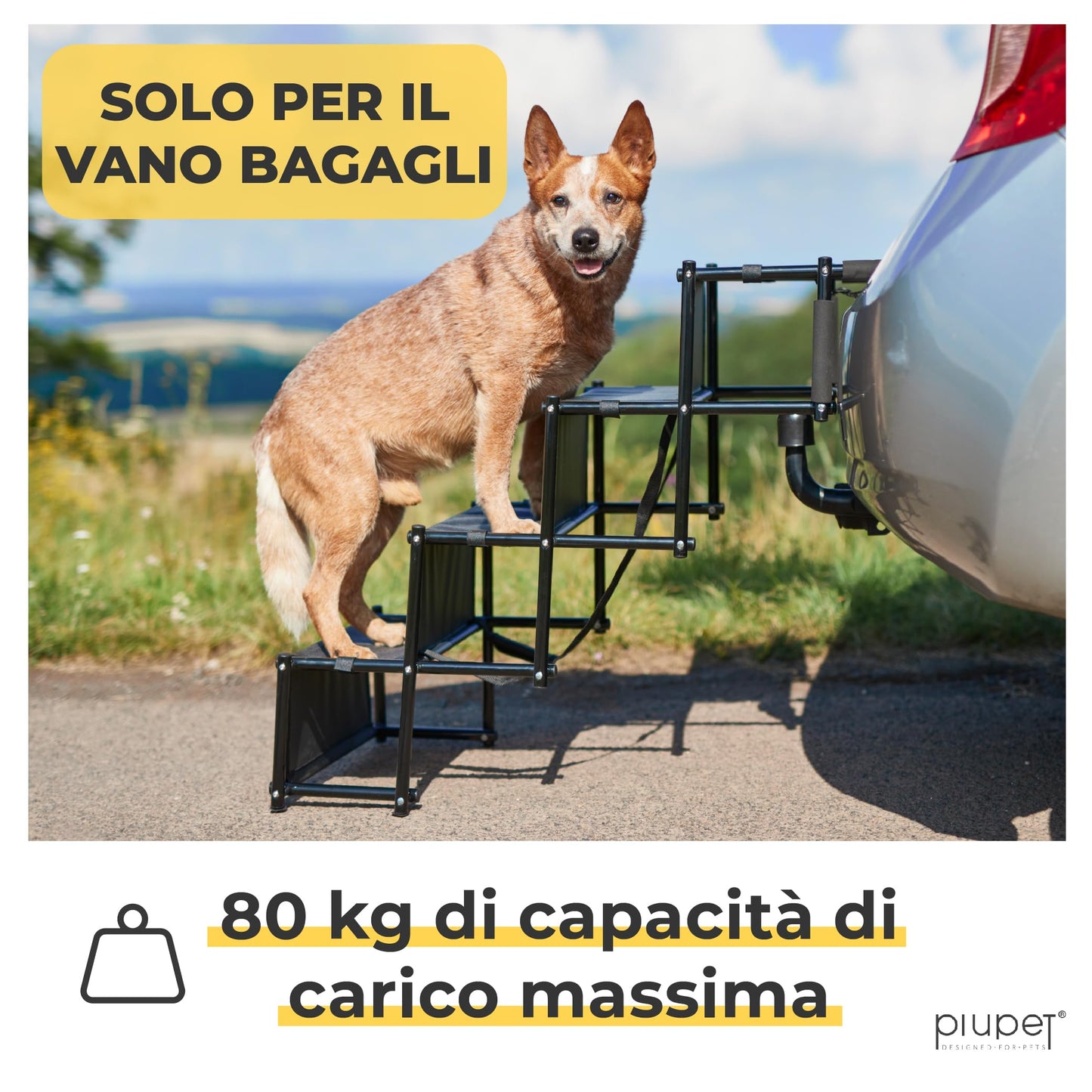 PiuPet® Rampa per Cani I Fino a 80 kg I Utilizzabile per Tutti i Veicoli I Grandi e Piccoli Cani I Scaletta per Cani Pieghevole I Scaletta Cani | Rampe per Auto | Gradini per Cani | Rampe di Carico