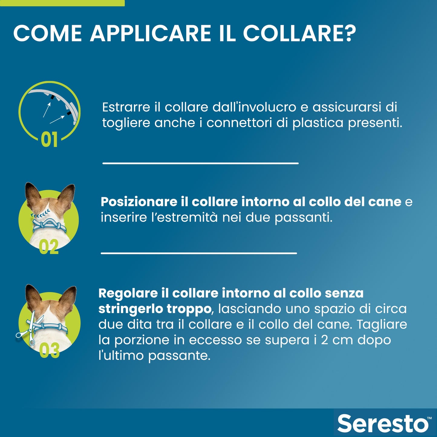 Elanco Seresto Collare antiparassitario, Per cani oltre 8 kg, Elimina pulci, zecche, pidocchi e protegge dal rischio di trasmissione, Della leishmaniosi fino a 8 mesi, 1 pezzo