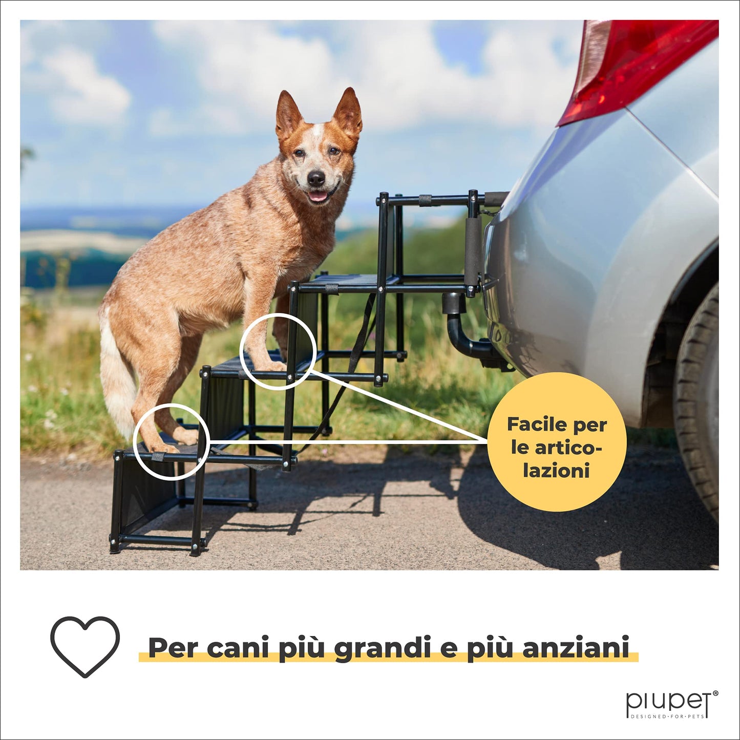 PiuPet® Rampa per Cani I Fino a 80 kg I Utilizzabile per Tutti i Veicoli I Grandi e Piccoli Cani I Scaletta per Cani Pieghevole I Scaletta Cani | Rampe per Auto | Gradini per Cani | Rampe di Carico