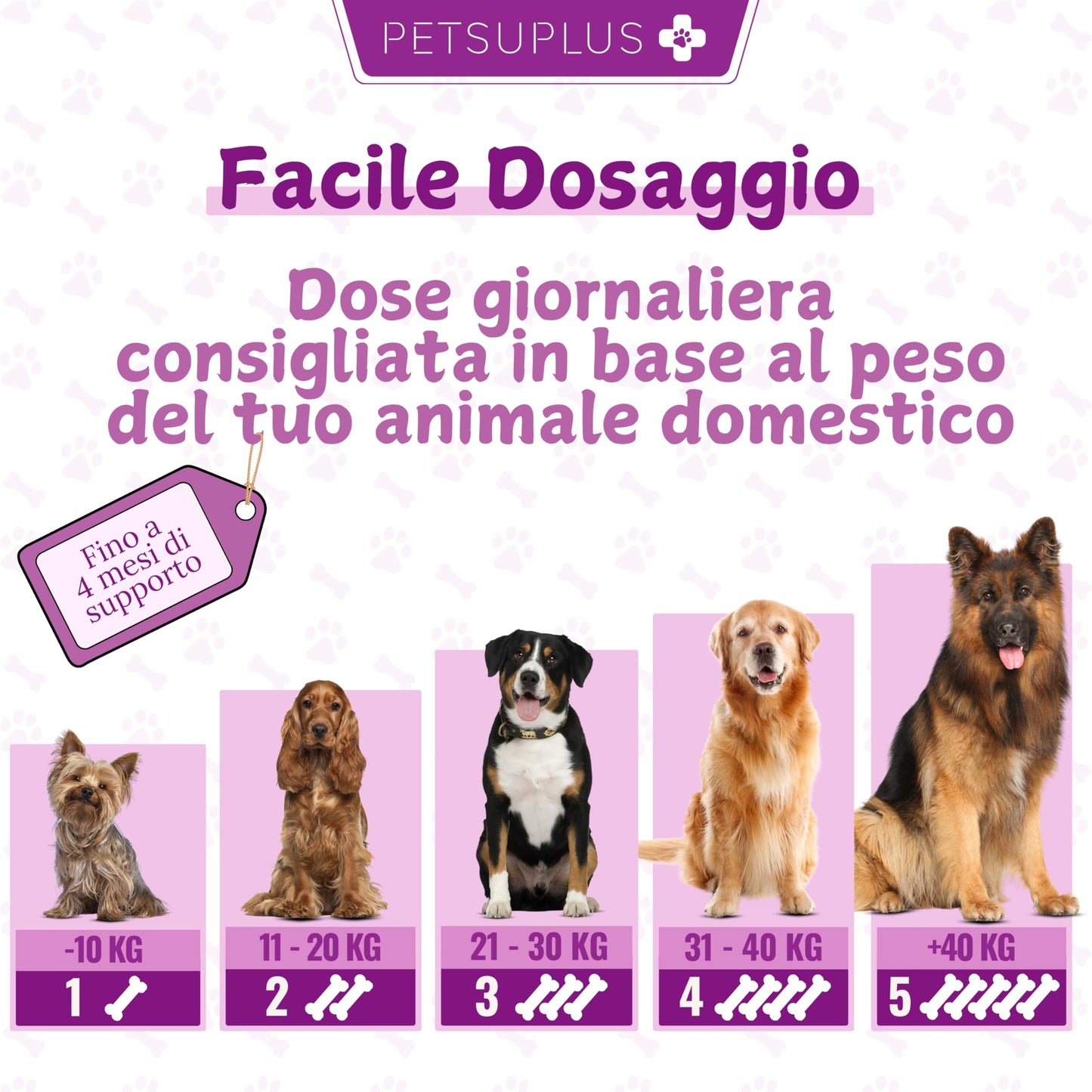 PETSUPLUS Probiotici per Cani - Fermenti Lattici Cane - 120 masticabili - Ripristina la Flora Intestinale, Protegge il Sistema Immunitario e previene Malattie - Combatte Diarrea, Gas, Vomito