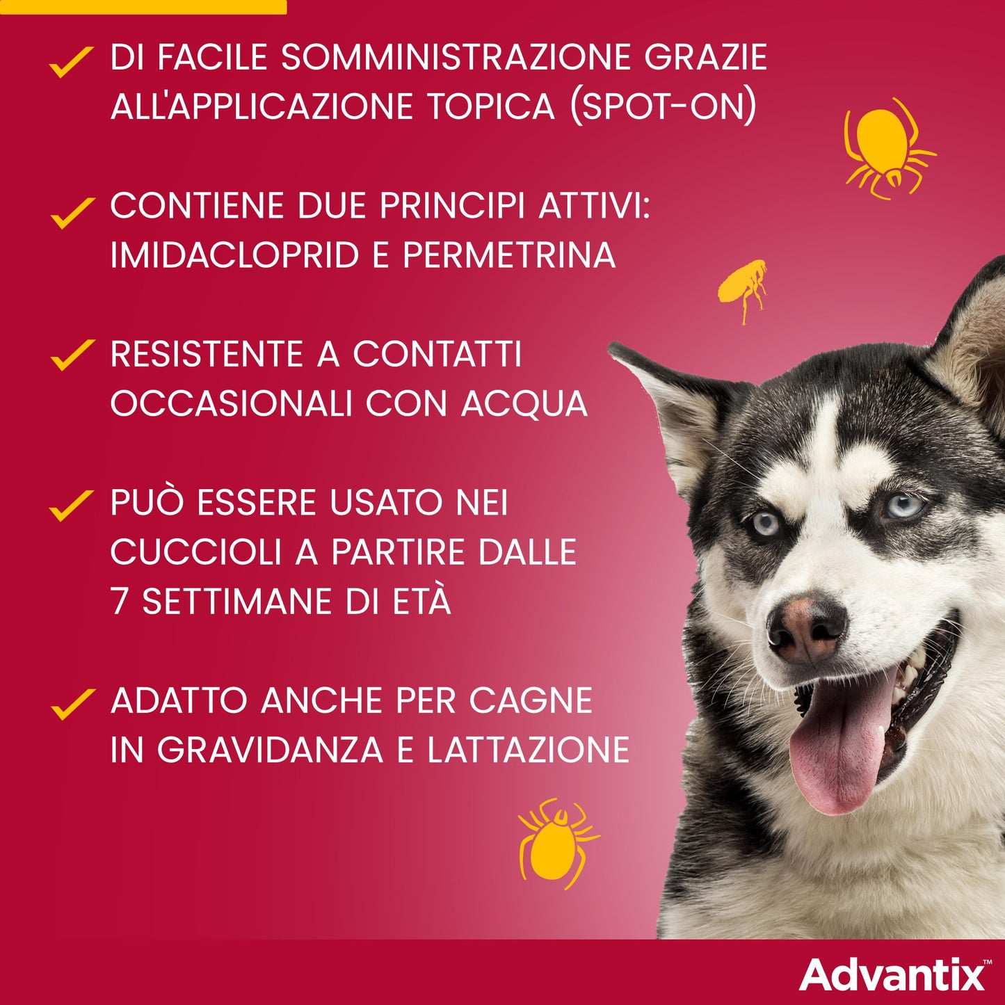 Advantix® Spot-on antiparassitario per Cani da 25 kg a 40 Kg, 4 pipette da 4,0 ml. Elimina zecche, pulci, pidocchi in casa. Protegge da zanzare, pappataci e rischio di leishmaniosi.