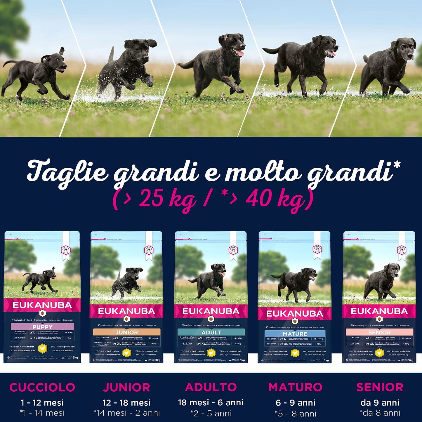 Eukanuba - Cibo premium per cani adulti di taglia grande - 100% completo ed equilibrato - Senza proteine vegetali nascoste, OGM, conservanti o aromi artificiali - 15 kg