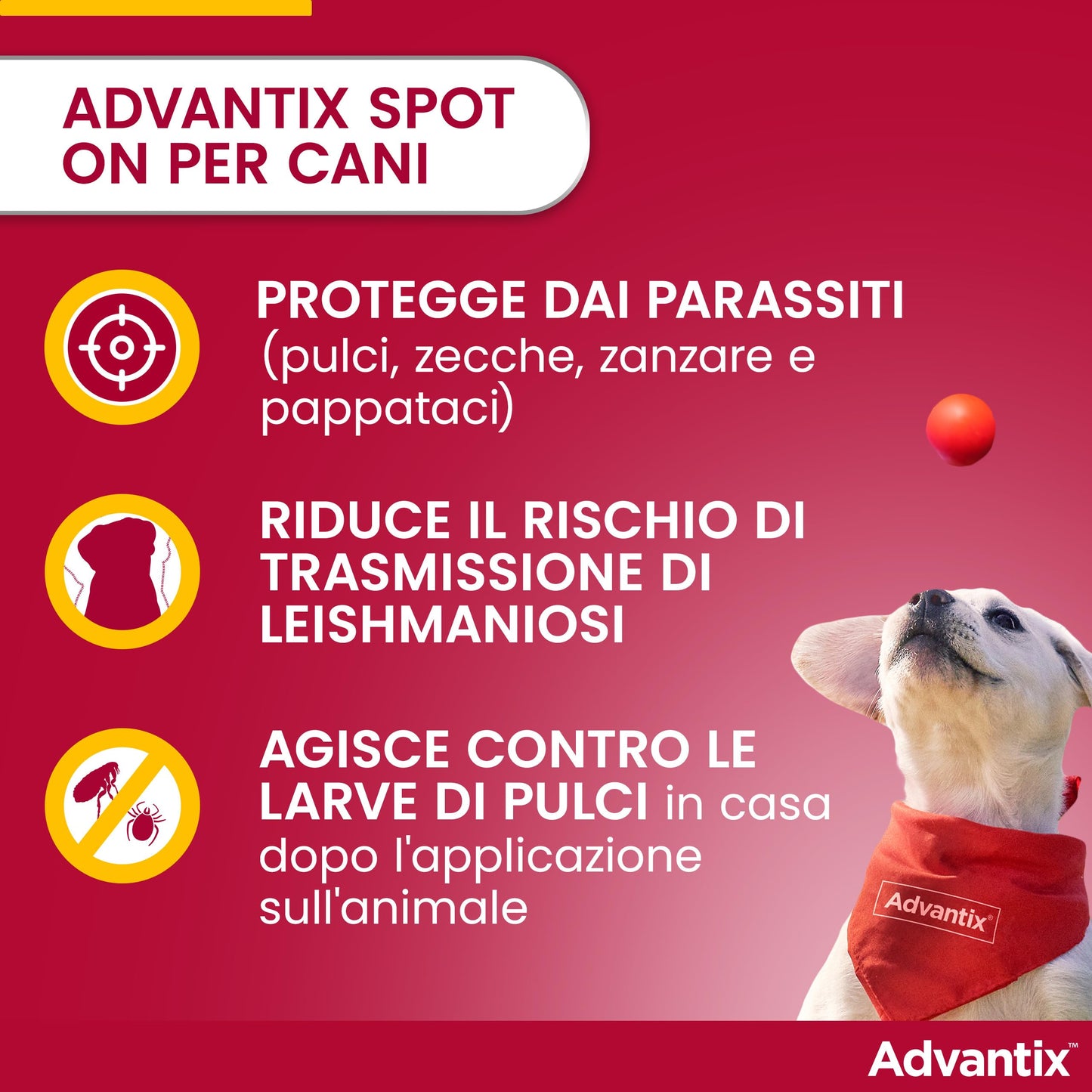 Advantix® Spot-on antiparassitario per Cani da 25 kg a 40 Kg, 4 pipette da 4,0 ml. Elimina zecche, pulci, pidocchi in casa. Protegge da zanzare, pappataci e rischio di leishmaniosi.