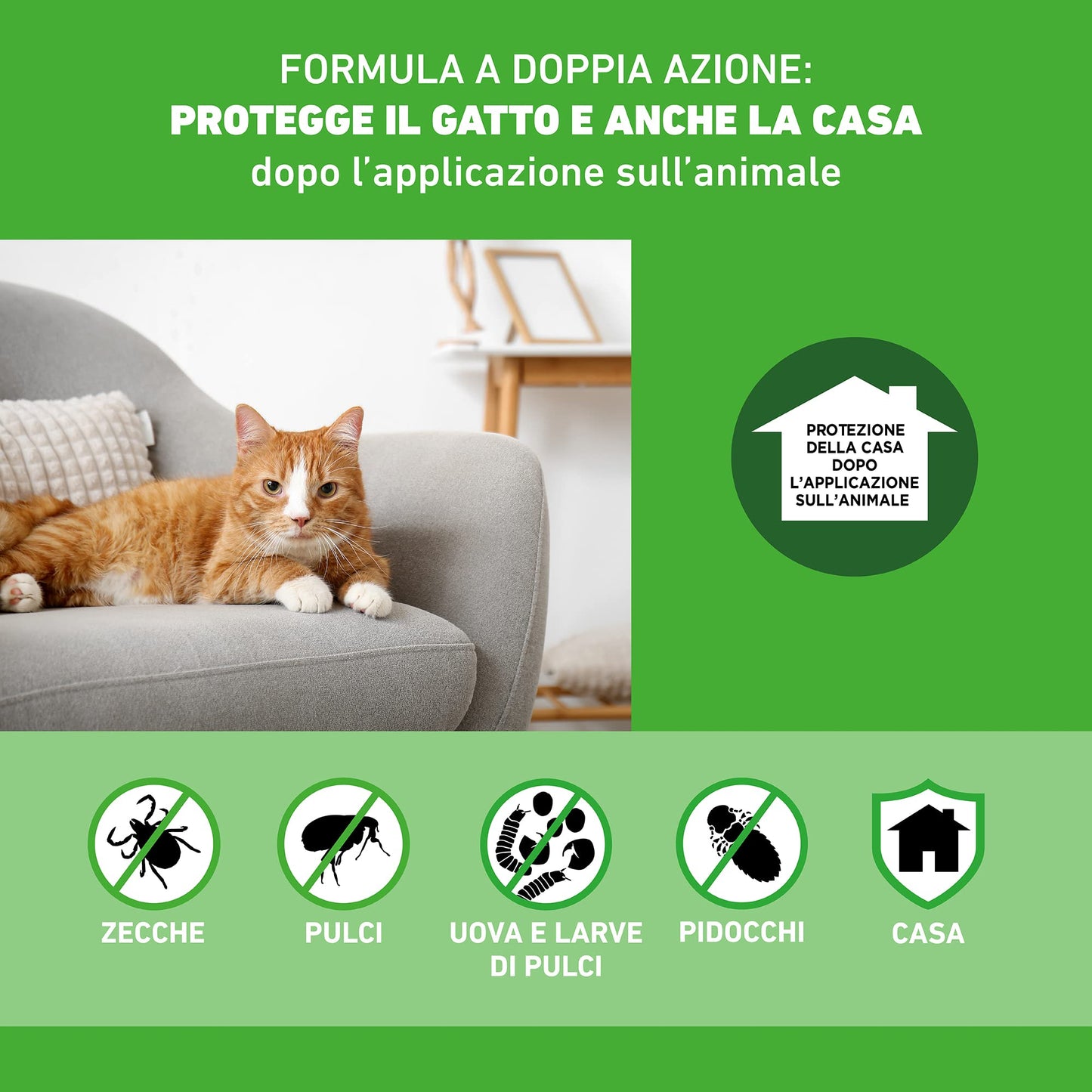 FRONTLINE Combo, 6 Pipette, Antiparassitario per Gatti, Gattini e Furetti di Lunga Durata, Protegge da Pulci, Zecche, Uova, Larve e Anche la Casa, Antipulci In Confezione da 6 Pipette da 0.5 ml