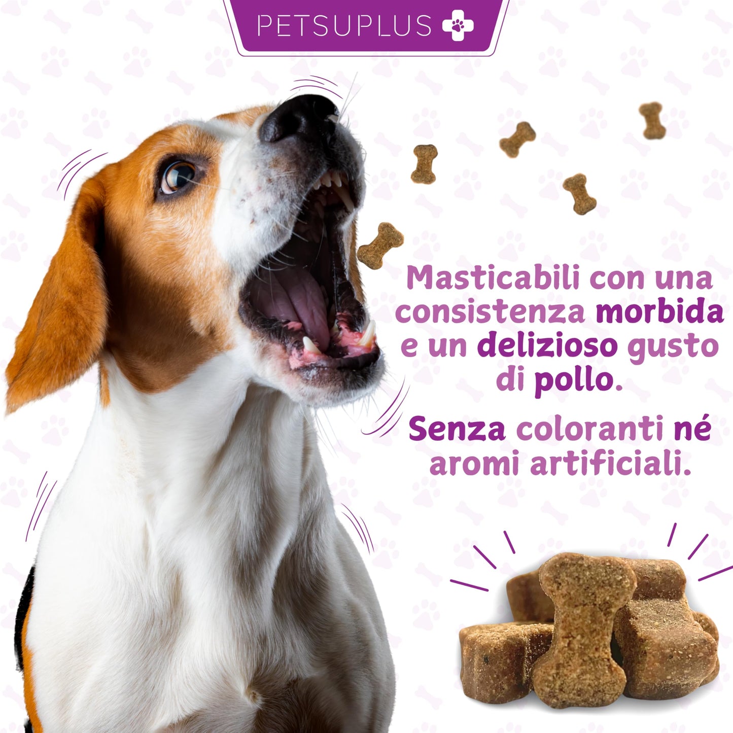 PETSUPLUS Probiotici per Cani - Fermenti Lattici Cane - 120 masticabili - Ripristina la Flora Intestinale, Protegge il Sistema Immunitario e previene Malattie - Combatte Diarrea, Gas, Vomito