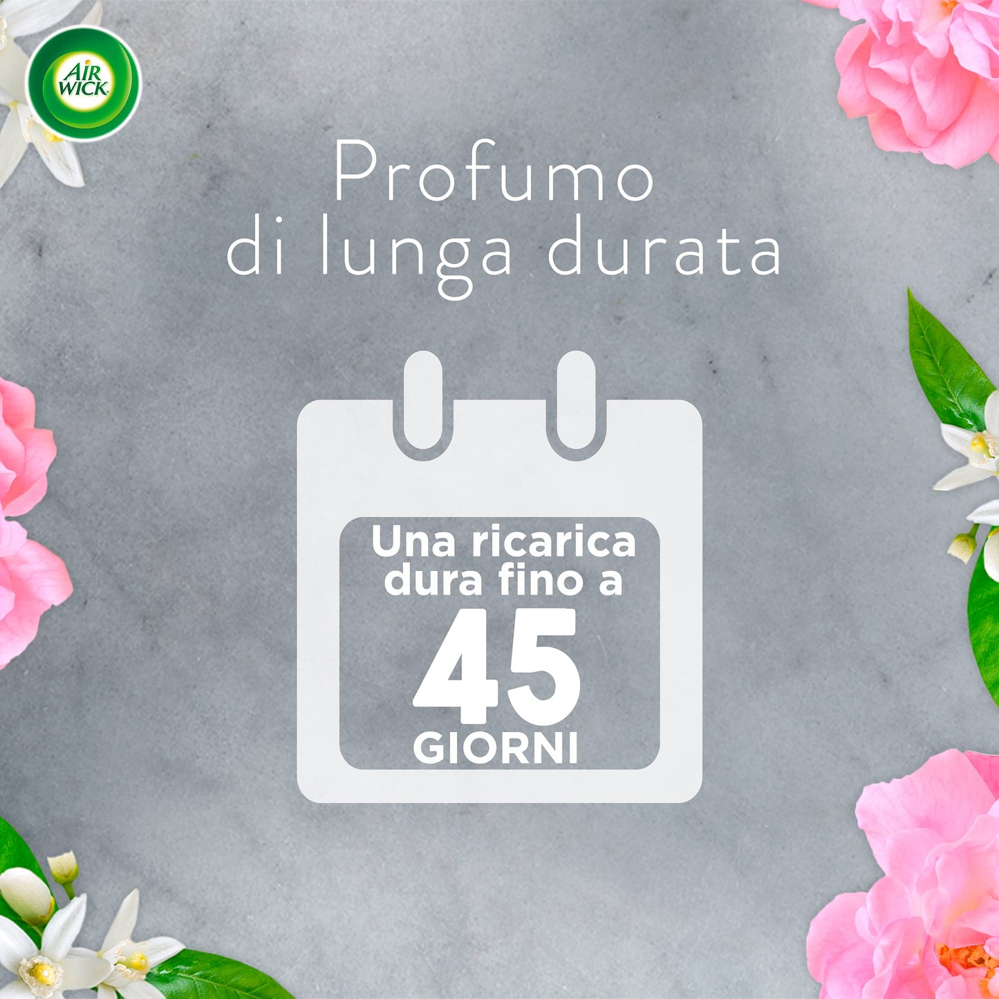 Airwick Ricariche Per Diffusore Di Oli Essenziali Armonia Istantanea, Confezione Da 6 Ricariche Per Il Diffusore Di Oli Essenziali, Profumatore Per Ambienti Con Fragranze Miste,