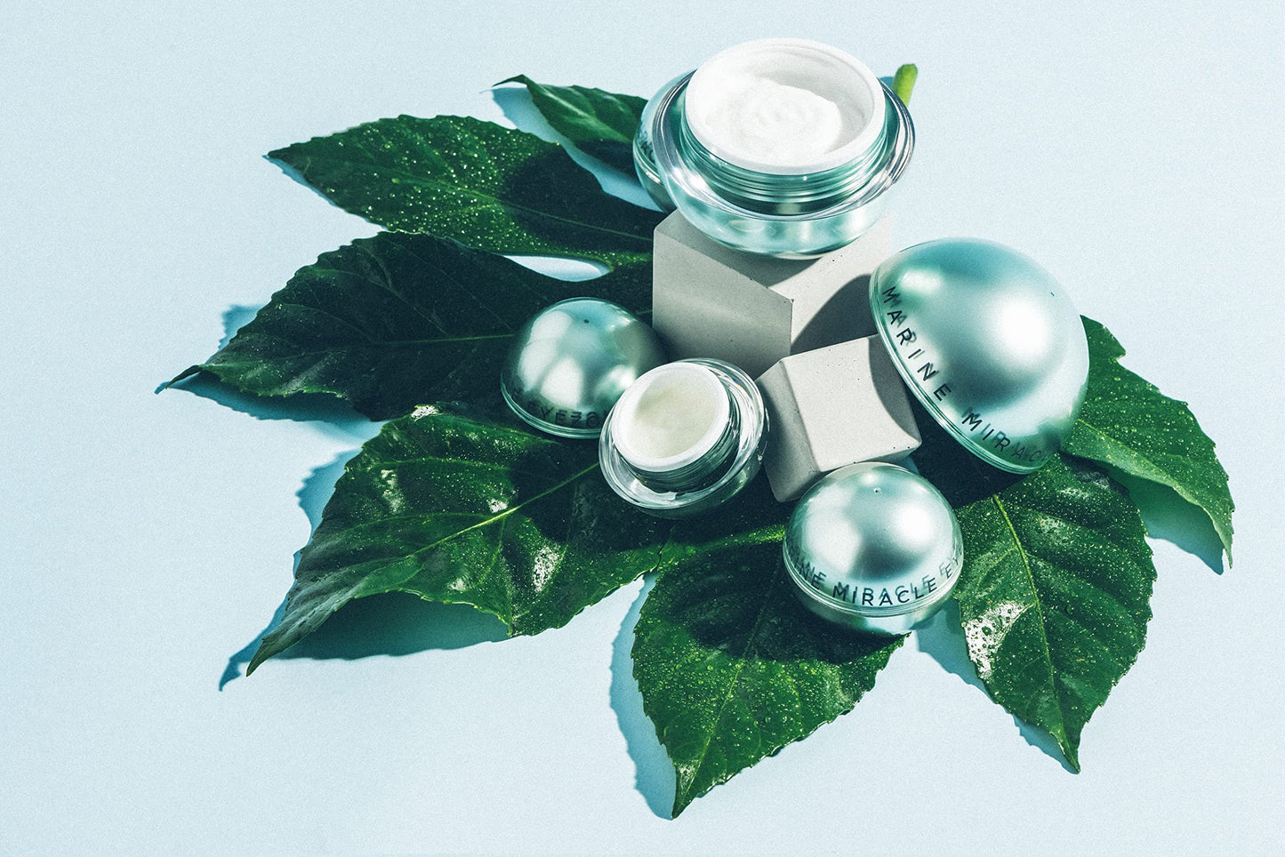 Transformulas Marine Miracle Crème Crema Idratante per Uso Quotidiano, Crema Viso Rassodante per Donne e Uomini per Idratare la Pelle Secca con Seetang e Algae per Aiutare con le Rughe Sottili 50ml