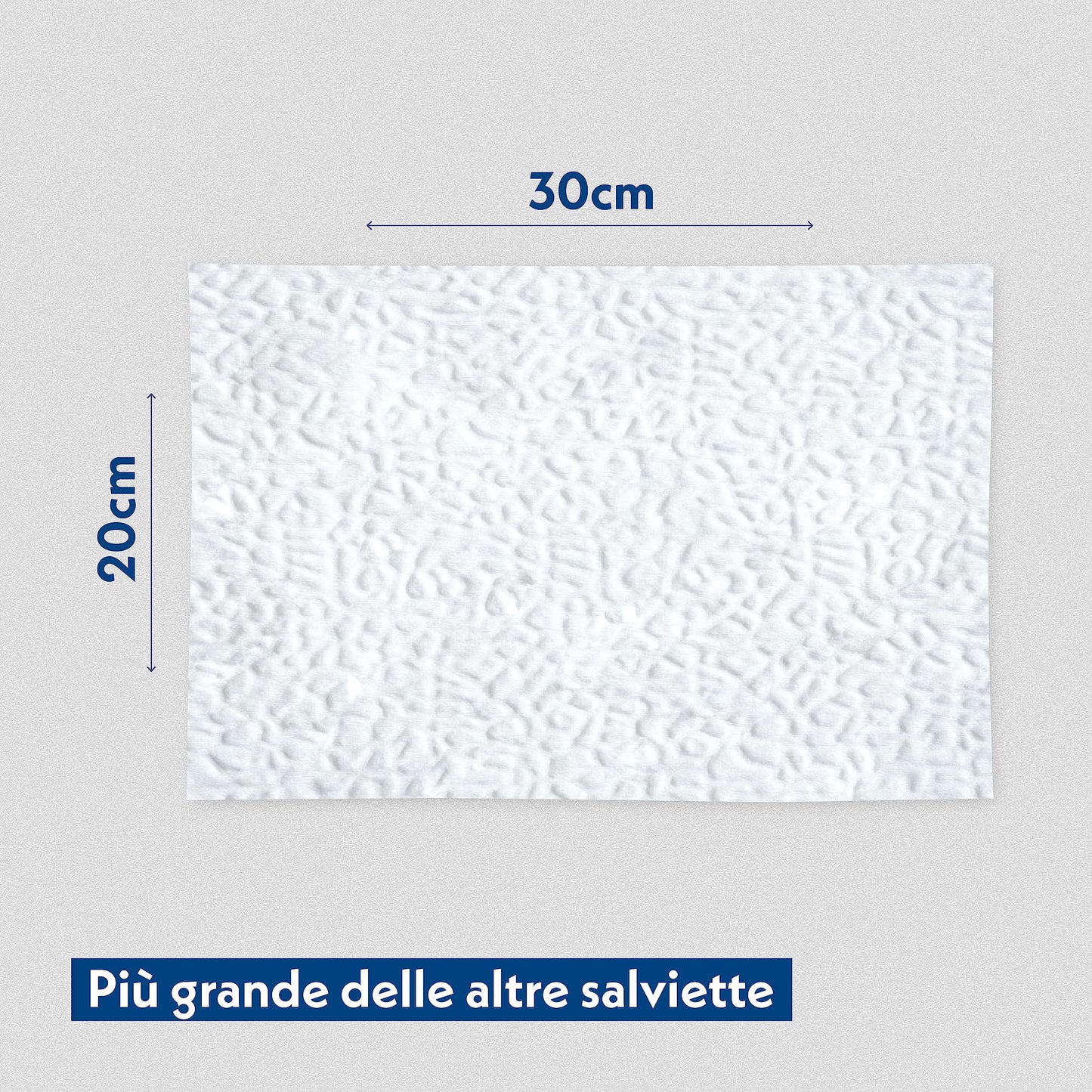 AMORE MIO | 110 Salviette con Clorexidina Maxi Formato, Igienizzanti e Purificanti, per Il Manto di Cani, Gatti e Animali Domestici, Disinfettanti 30x20 cm - 1 Confezione da 110 Salviettine