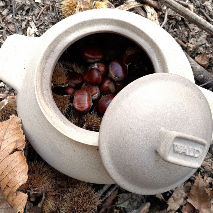 Cuocipatate - Cuocicastagne Wald