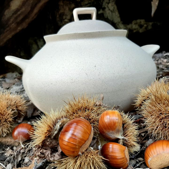 Cuocipatate - Cuocicastagne Wald